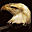 Birds of Prey Free Screensaver 2.0.2 Birds of Prey Free Screensaver 2.0.2 32x32 pixels icon