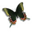 Desktop Butterflies 3D Screensaver 1.0 Desktop Butterflies 3D Screensaver 1.0 32x32 pixels icon