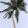 dArt Tropical Islands vol.1 1.02.6 dArt Tropical Islands vol.1 1.02.6 32x32 pixels icon