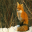Fox Screensavers 1.0 - Kostenlose Bildschirmschoner für wilde Tiere zum Herunterladen Fox Screensavers 1.0 32x32 pixels icon
