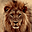 Lions Free Screensaver 2.0.2.7 Lions Free Screensaver 2.0.2.7 32x32 pixels icon