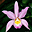 Orchids Screen Saver and Wallpaper 3.3 Orchids Screen Saver and Wallpaper 3.3 32x32 pixels icon