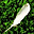 Nice Feathers Free Screensaver 2.0.2.7 - Dekoriere deinen Bildschirm mit bunten Federn. Nice Feathers Free Screensaver 2.0.2.7 32x32 pixels icon