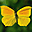 Splendid Butterflies Free Screensaver 2.0.3 Splendid Butterflies Free Screensaver 2.0.3 32x32 pixels icon