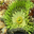 Underwater World Screensaver 1.0 - Machen Sie eine Reise über den Meeresboden! Underwater World Screensaver 1.0 32x32 pixels icon